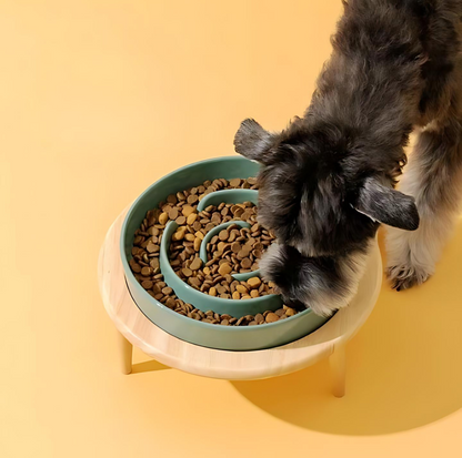 Elevated Slow Feeder Dog Bowl - Improve Digestion and Eating Habits