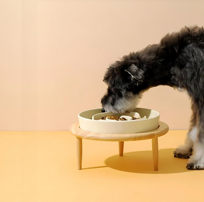 Elevated Slow Feeder Dog Bowl - Improve Digestion and Eating Habits