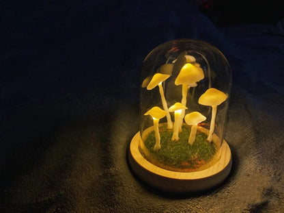 Mushroom Terrarium Lamp - Whimsical LED Light for Home Decor