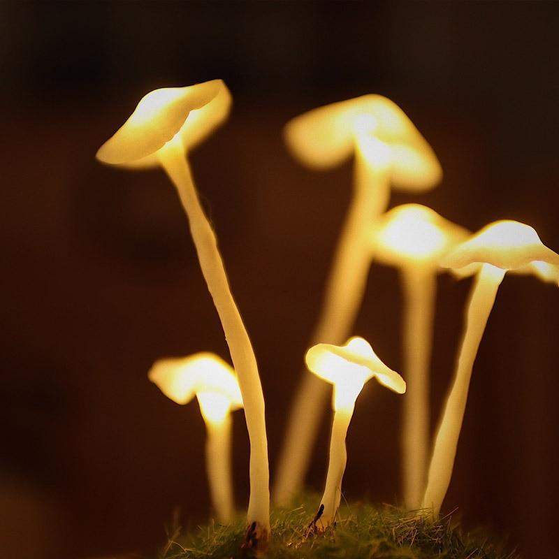 Mushroom Terrarium Lamp - Whimsical LED Light for Home Decor