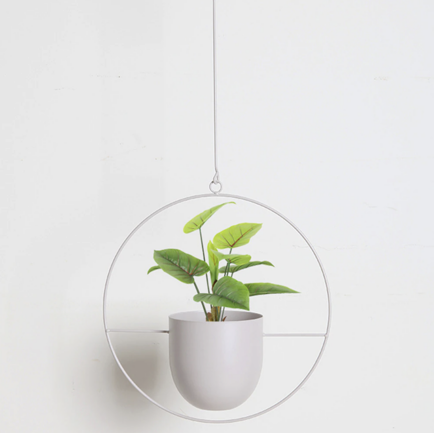 Modern Hanging Planter - Elegant Indoor Plant Display