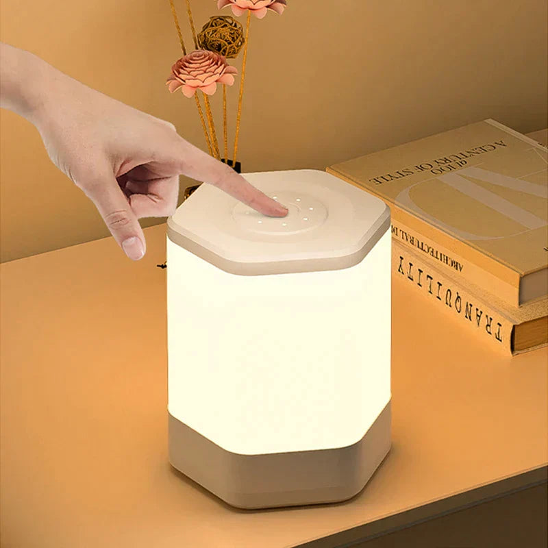 Touch Control Lamp With Adjustable Brightness