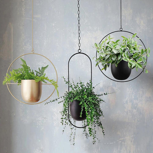 Modern Hanging Planter - Elegant Indoor Plant Display